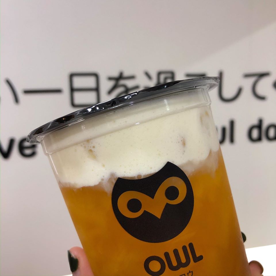 Owl Cha15