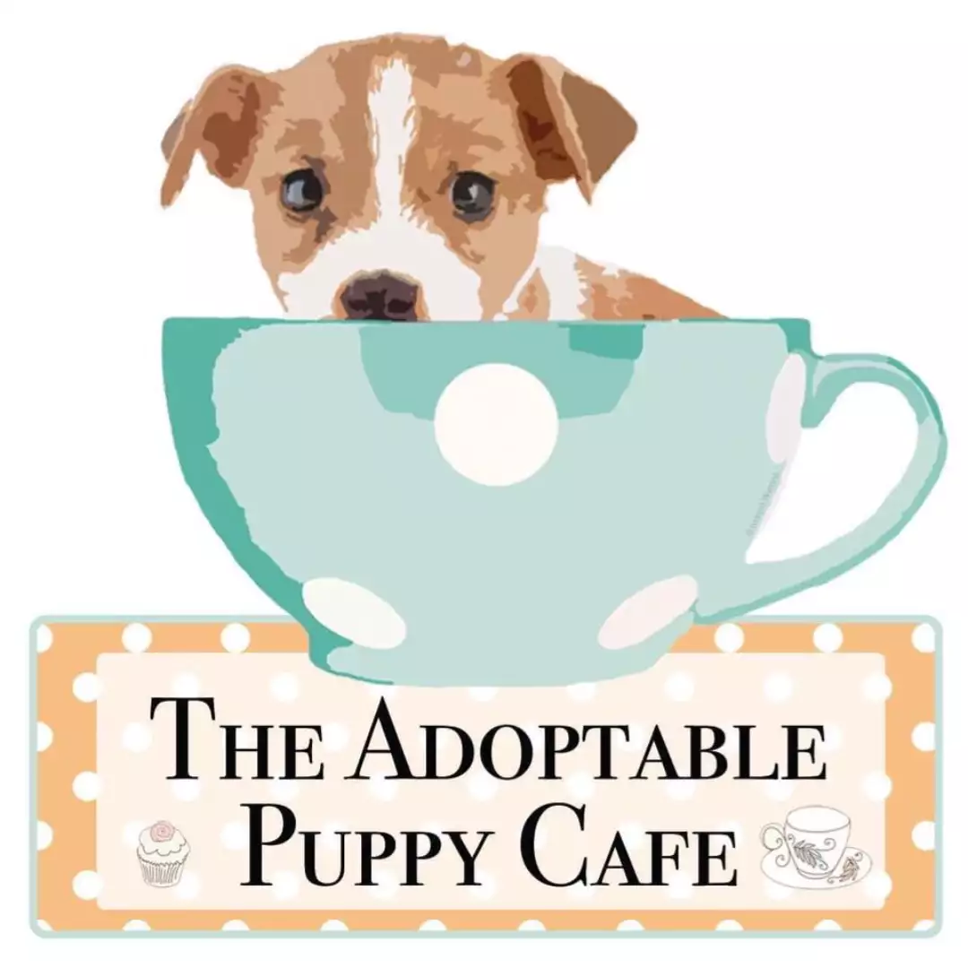 The Adoptable Puppy Cafe 