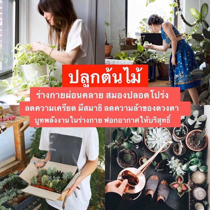 Activity at home 4