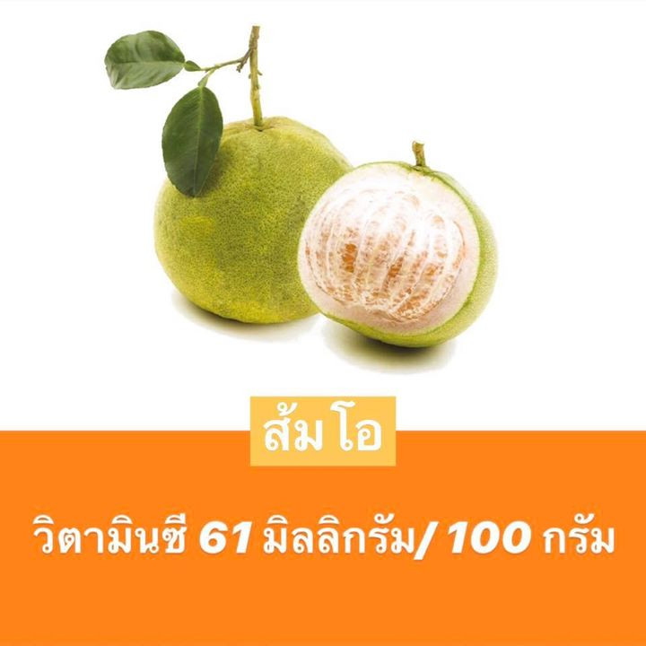 vegetableandfruit 5