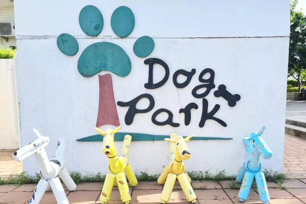 BMA. Dog Park