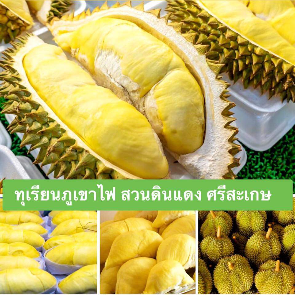 1  durian