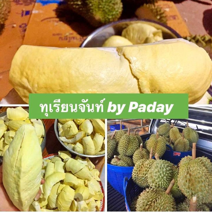 6 durian