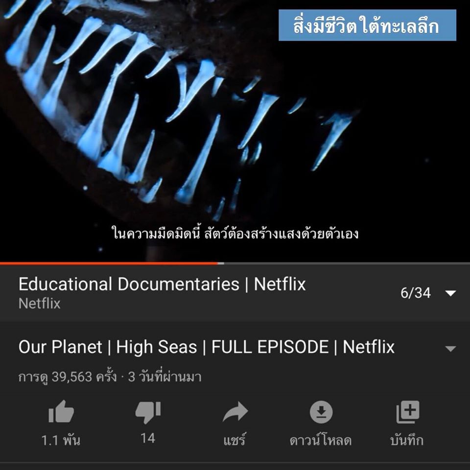 1 documentary netflix