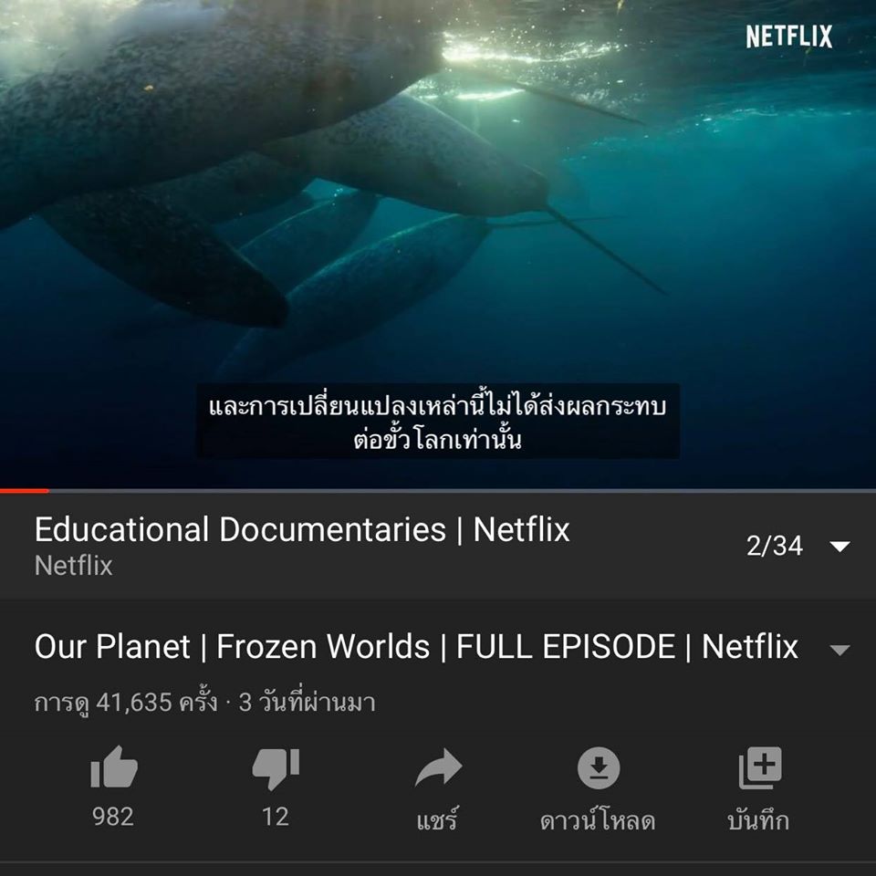 4 documentary netflix