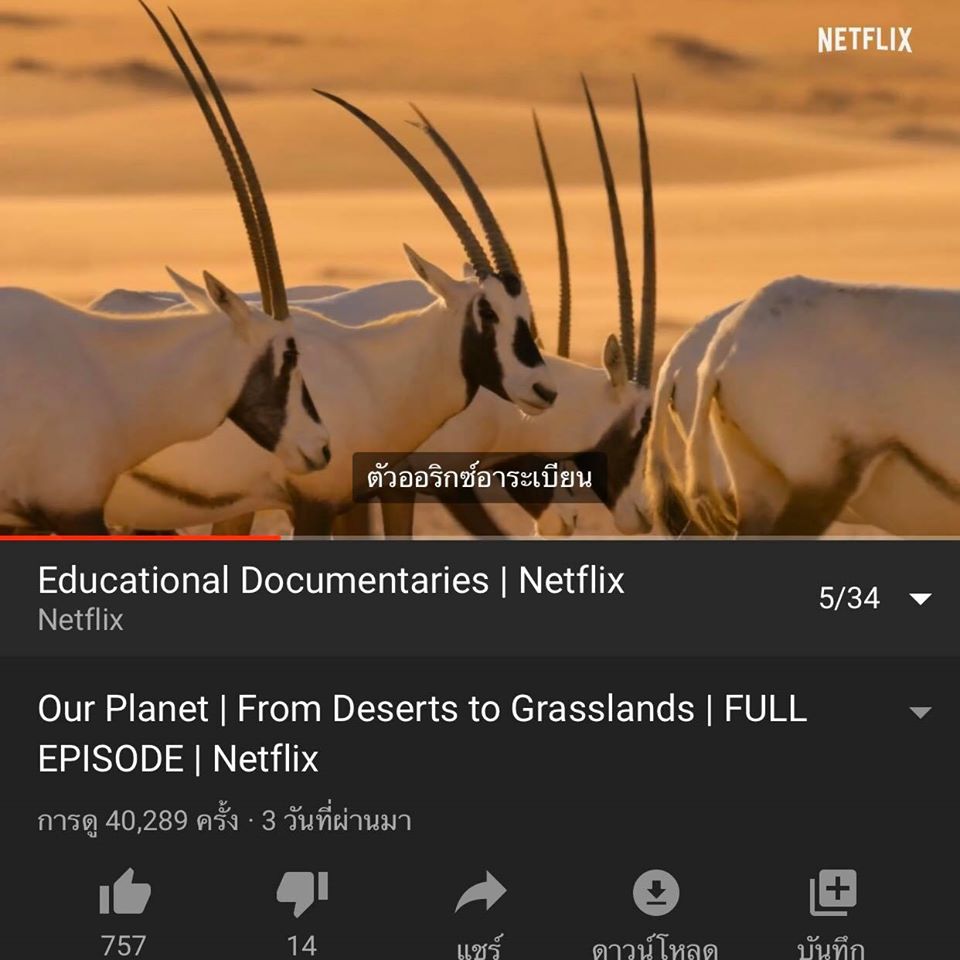 5 documentary netflix