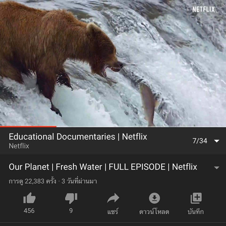 6 documentary netflix