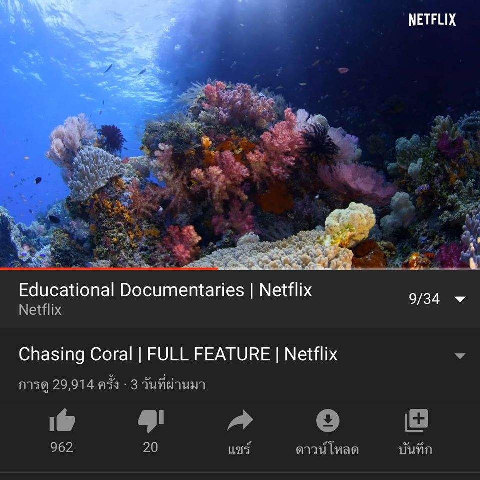 7 documentary netflix