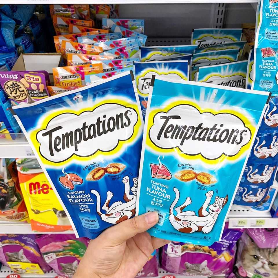 new 4 Temptations