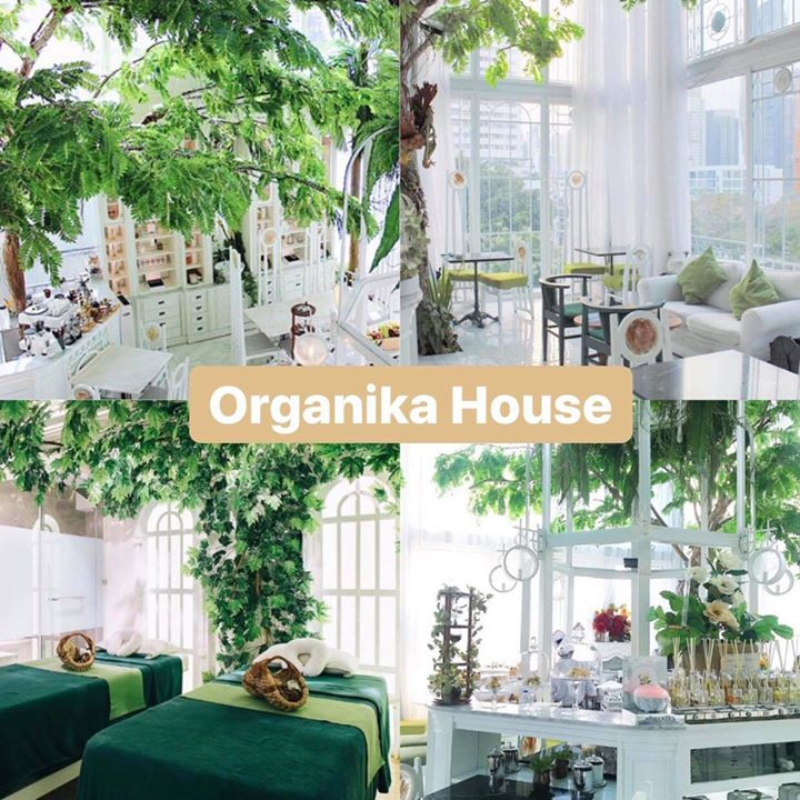 9 organika house