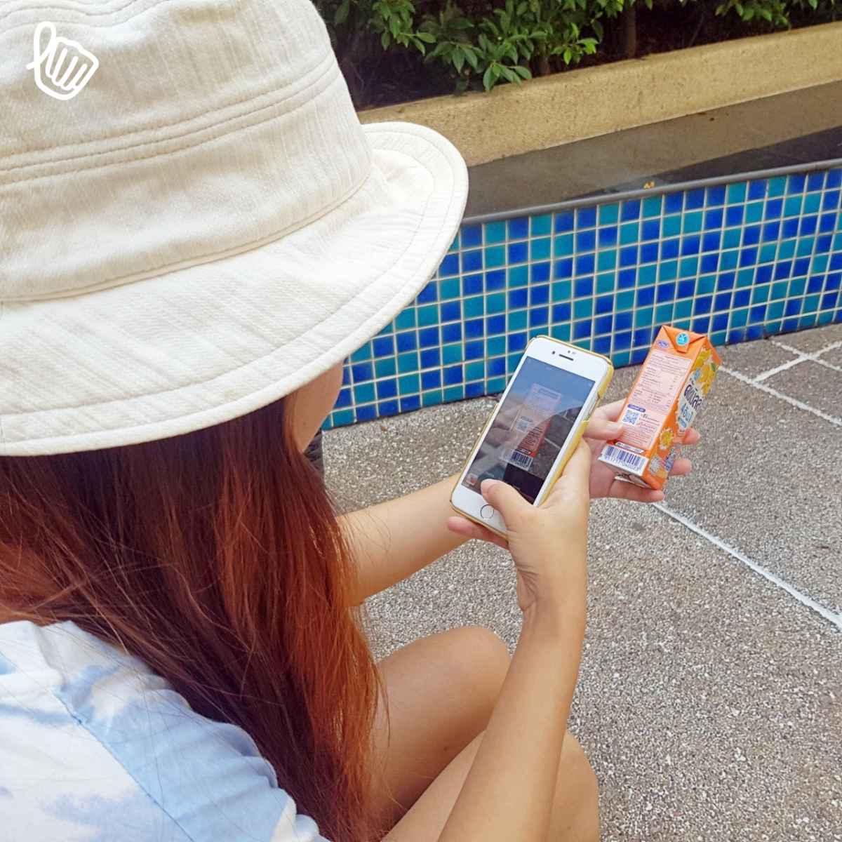 ดัชมิลล์