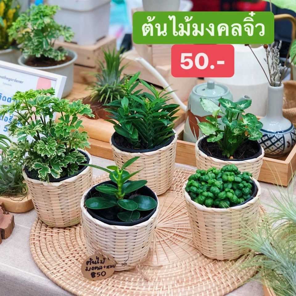 2 baanlaesuan fair midyear 2020