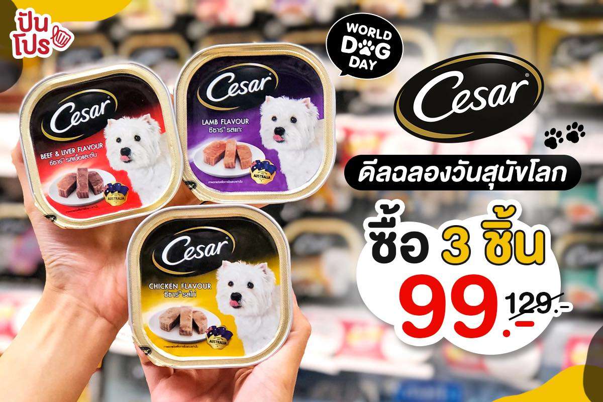 Cesar ฉลองวันสุนัขโลก ซื้อ 3 ชิ้น แค่ 99 บาท