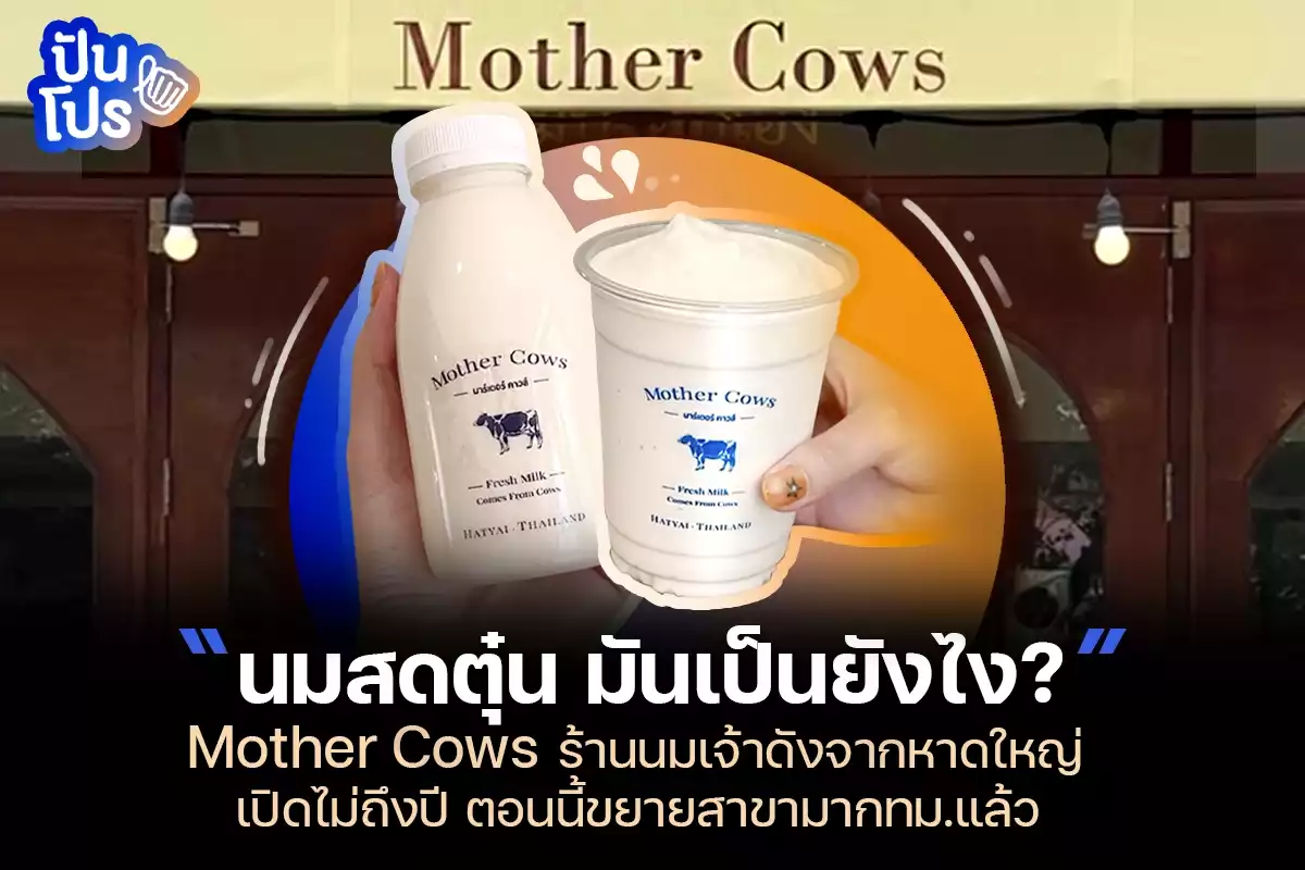 Mother Cows ร้านนมเจ้าดังจากหาดใหญ่ เปิดไม่ถึงปีแต่ขยายสาขามากทม.แล้ว