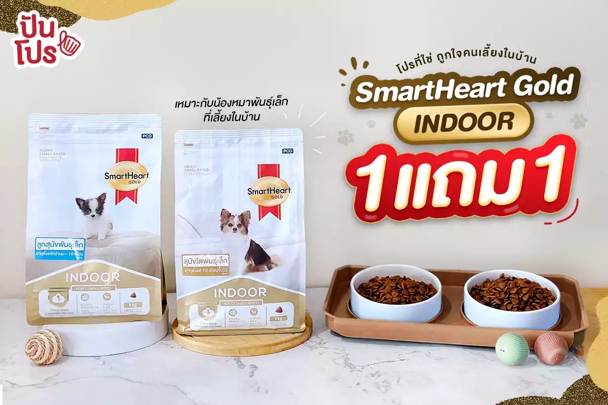 🐶 SmartHeart Gold INDOOR 1 แถม 1