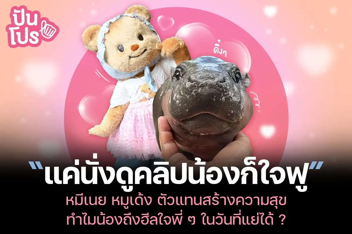 หมีเนย หมูเด้ง ตัวแทนสร้างความสุข ว่าแต่ทำไมน้องถึงฮีลใจพี่ ๆ ในวันที่แย่ได้ ?