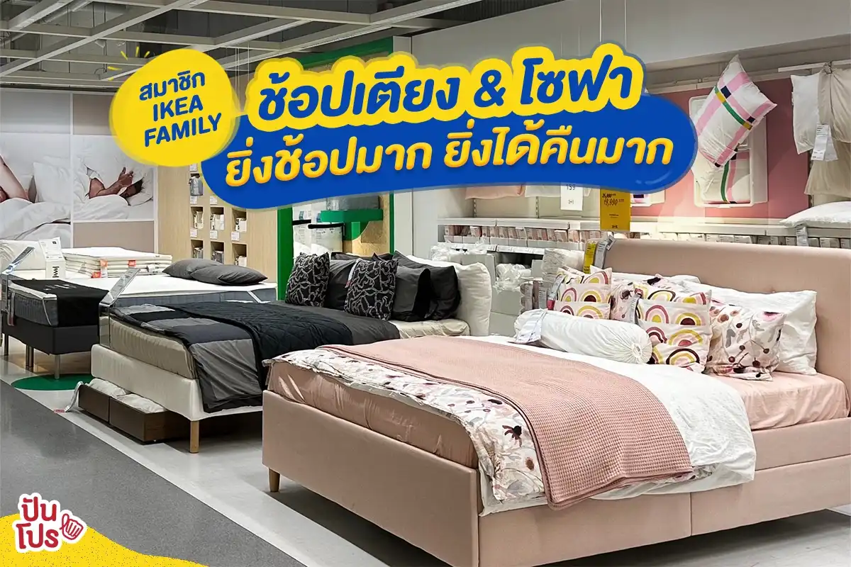 🛌 สมาชิก IKEA FAMILY ช้อปเตียง & โซฟา ต้อนรับแขกทุกเทศกาล ยิ่งซื้อมาก ยิ่งได้คืนมาก