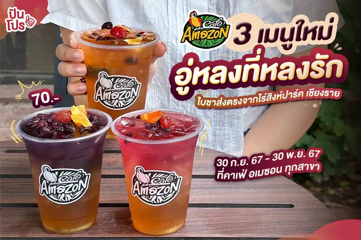 🍵 Café Amazon 3 เมนูใหม่! ชาอู่หลงส่งตรงจากไร่สิงห์ปาร์ค เชียงราย