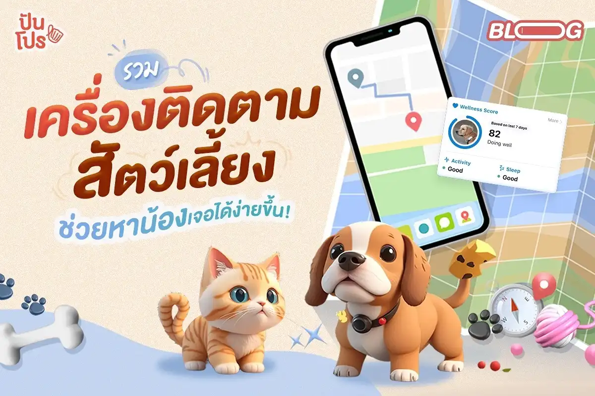 รวมปลอกคอติดตามตำแหน่งสัตว์เลี้ยง ช่วยให้หาน้องเจอง่ายขึ้น!