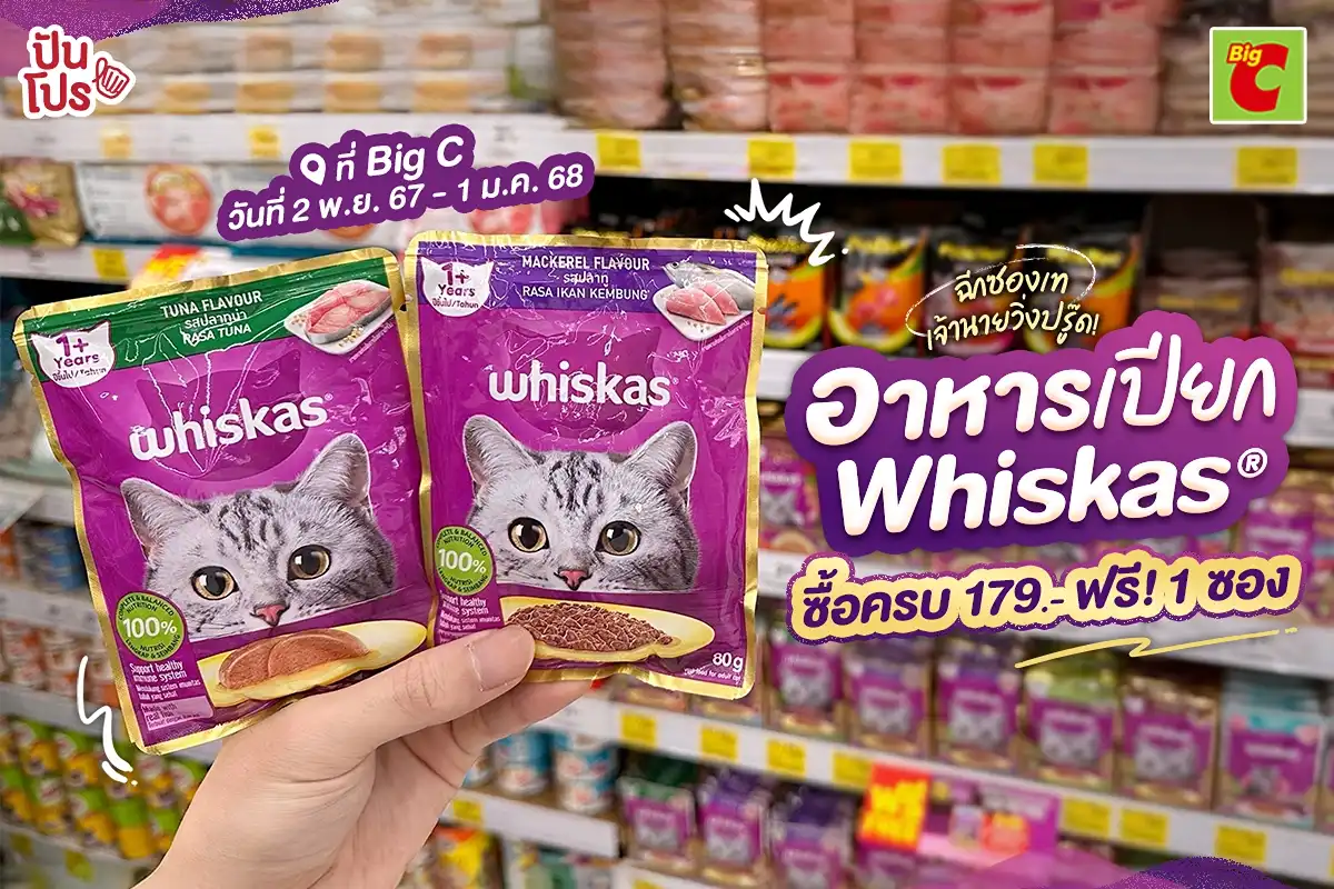 😻 ฉีกซองเทเจ้านายวิ่งปรู๊ด! อาหารเปียก Whiskas ซื้อครบ 179.- ฟรี! วิสกัสเพาช์ 1 ซอง