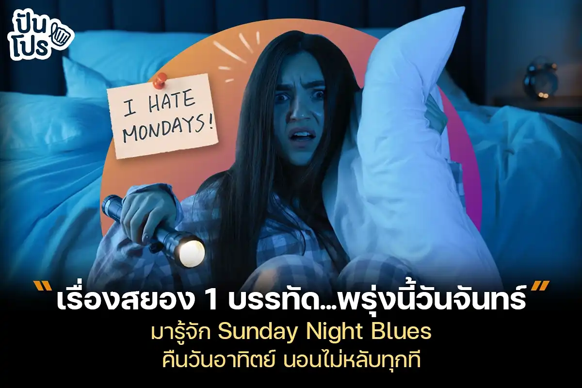 Sunday Night Blues คืนวันอาทิตย์นอนไม่หลับทุกที!