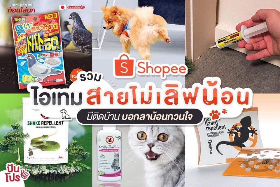 Shopee รวมของกันสัตว์กวนใจ ใช้ได้ปลอดภัย สบายใจทั้งคนทั้งสัตว์!!