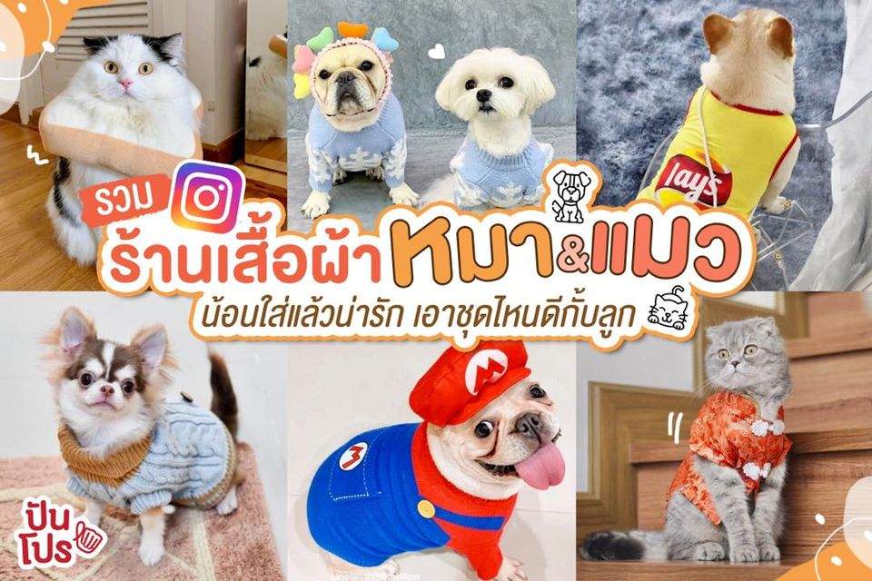 10 ร้านไอจี เสื้อผ้าหมาแมว สวยหล่อฟินๆ ถูกใจชาวทาสจ้าา