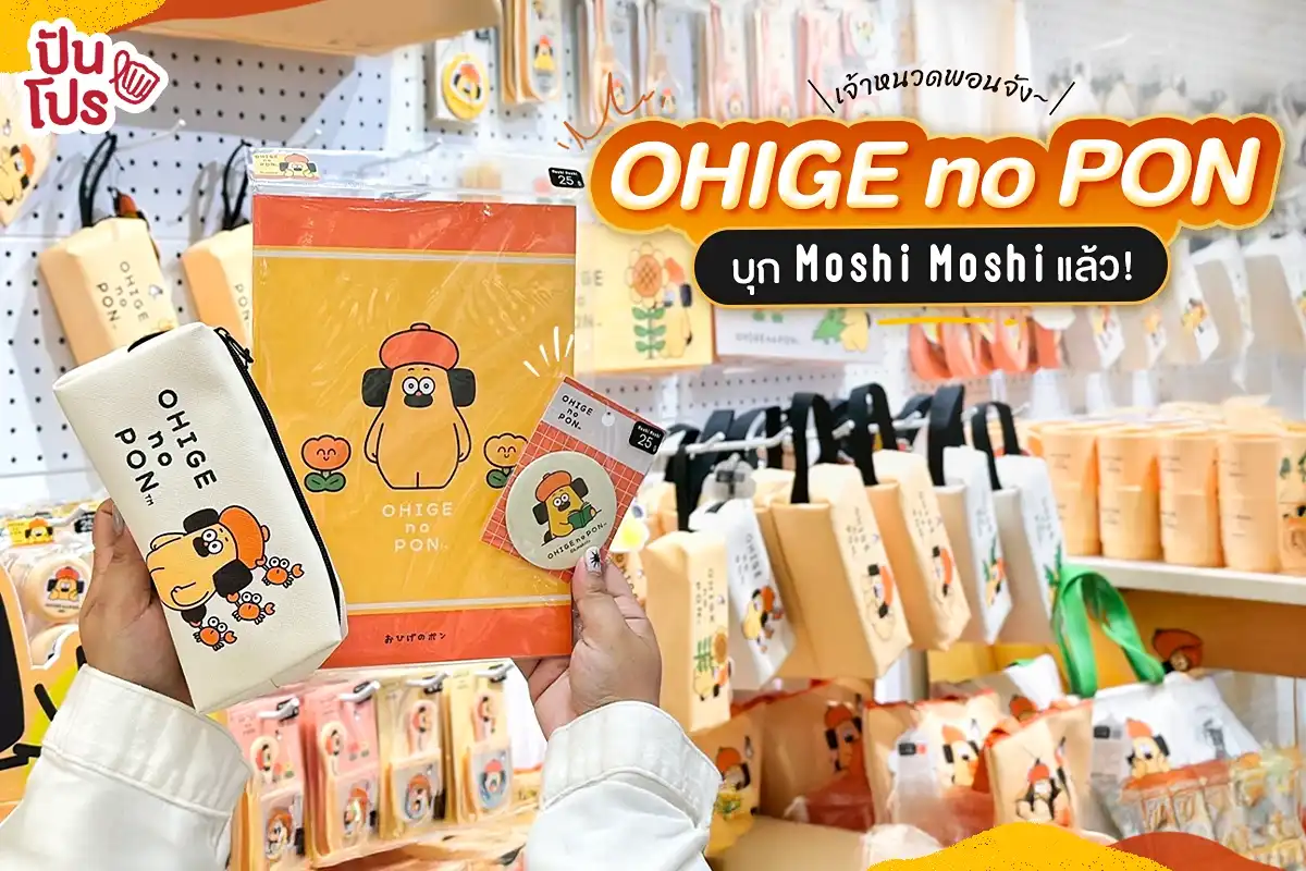🥸 เจ้าหนวดพอนจัง~ OHIGE no PON บุก Moshi Moshi แล้ว! 🥸 เจ้าหนวดพอนจัง~ OHIGE no PON บุก Moshi Moshi แล้ว!