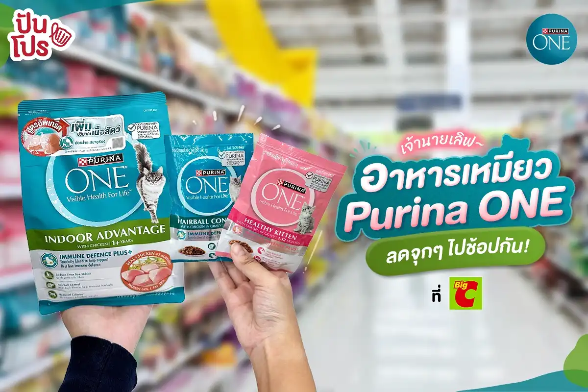 😻 เจ้าทาสถูกใจ! อาหารเหมียว Purina ONE กับราคาโดนๆ ที่ Big C 😻 เจ้าทาสถูกใจ! อาหารเหมียว Purina ONE กับราคาโดนๆ ที่ Big C