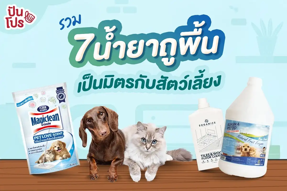 รวม 7 น้ำยาถูพื้น เป็นมิตรกับสัตว์เลี้ยง