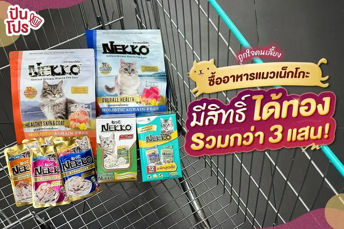 🎊 ถูกใจคนเลี้ยง ซื้ออาหารแมวเน็กโกะ มีสิทธิ์ได้ทองรวมกว่า 3 แสน! 🎊 ถูกใจคนเลี้ยง ซื้ออาหารแมวเน็กโกะ มีสิทธิ์ได้ทองรวมกว่า 3 แสน!