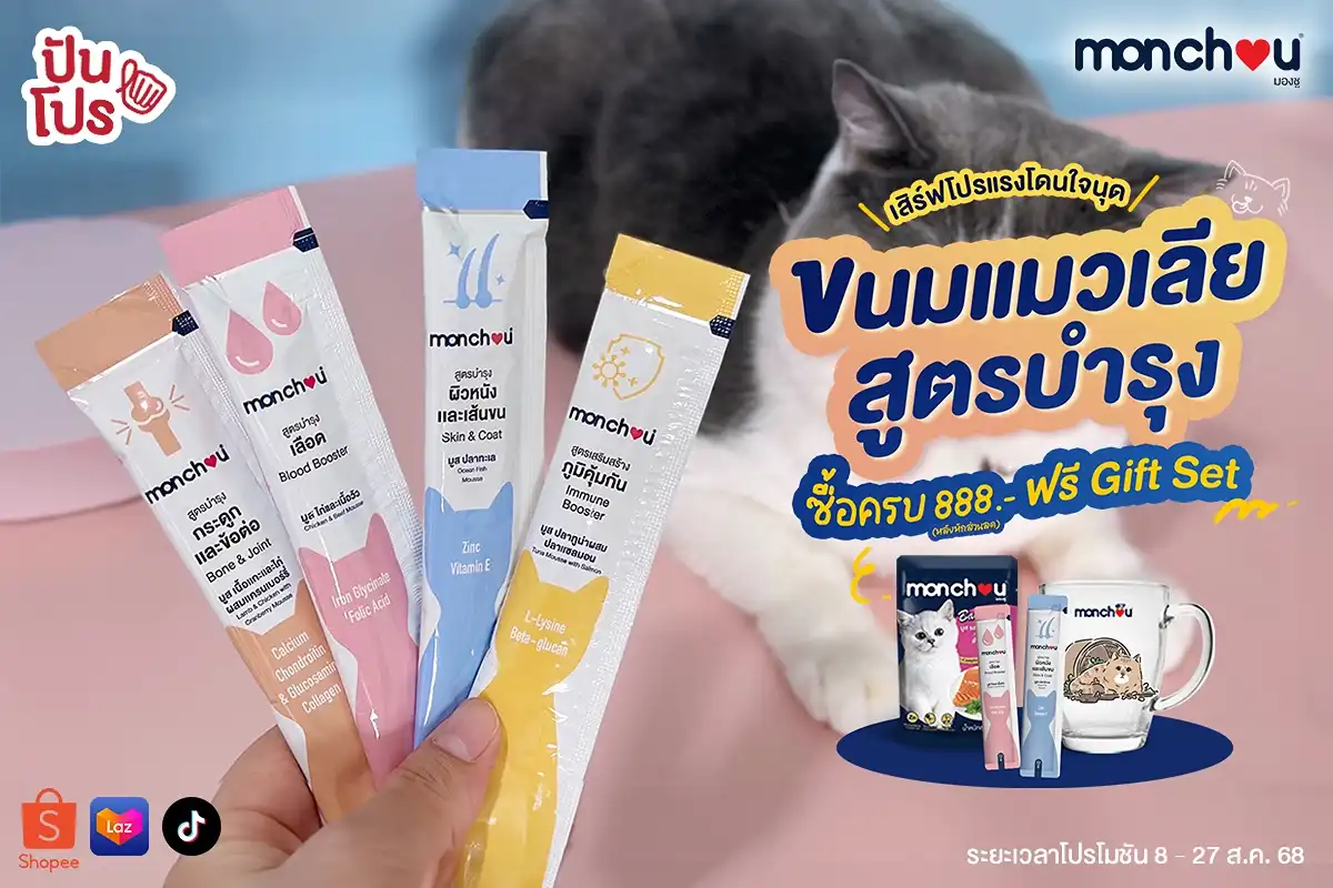 🐾 โปรแรงเกินต้าน ขนมแมวเลีย สูตรบำรุงจาก monchou ยิ่งซื้อเยอะ ยิ่งแถมเพียบ !