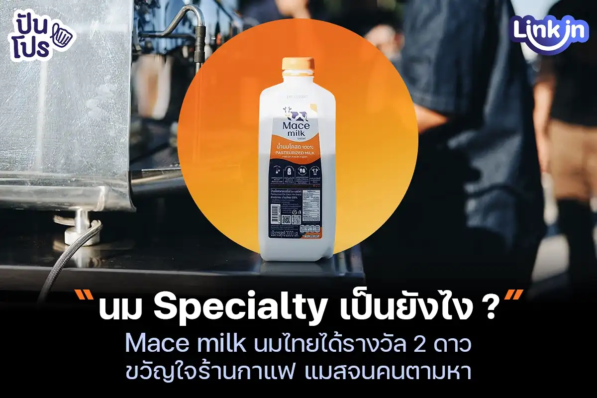 Mace milk นมแบรนด์ไทยแท้ ที่ถูกยกให้เป็นนม Specialty ?