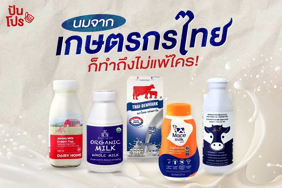 นมแบรนด์ไทย ไม่แพ้ใครในโลก…จะมีแบรนด์ไหนบ้าง ? นมแบรนด์ไทย ไม่แพ้ใครในโลก…จะมีแบรนด์ไหนบ้าง ?