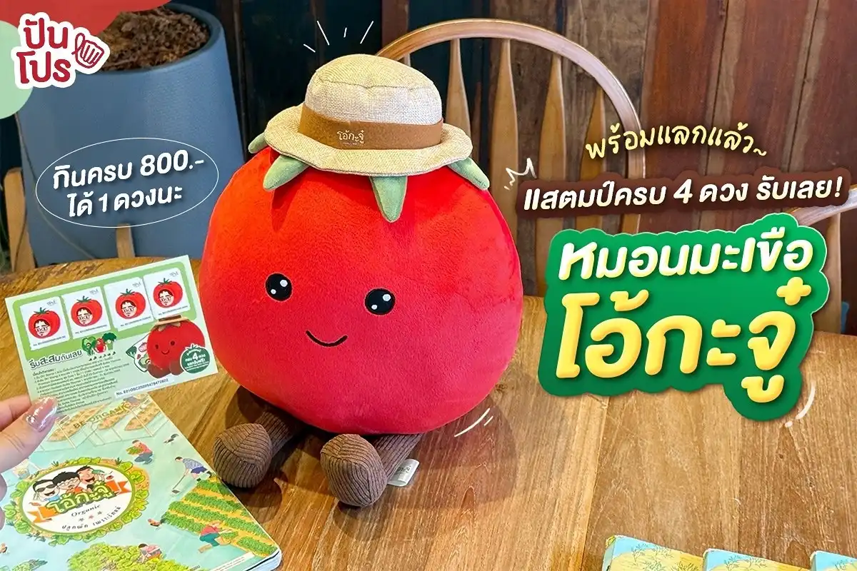 โอ้กะจู๋ แจกหมอนมะเขือโอ้กะจู๋ เพียงสะสมแสตมป์ให้ครบ 4 ดวง โอ้กะจู๋ แจกหมอนมะเขือโอ้กะจู๋ เพียงสะสมแสตมป์ให้ครบ 4 ดวง