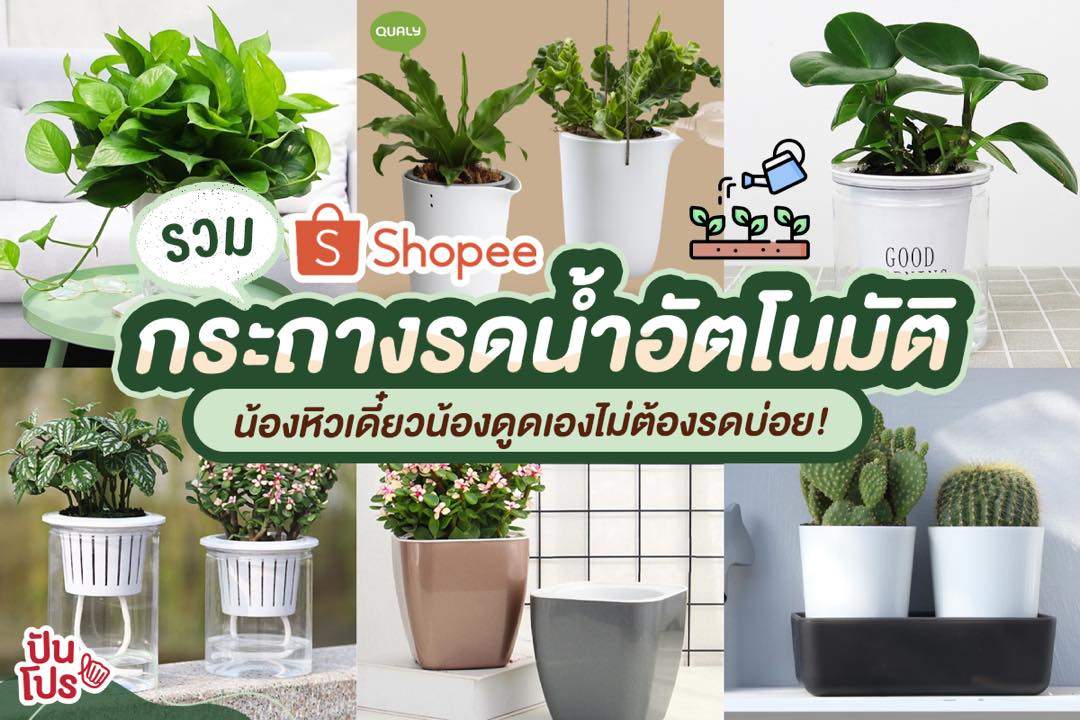 Shopee รวม 12 กระถางรดน้ำอัตโนมัติ ไม่ต้องคอยรดบ่อยๆ แล้ววว~