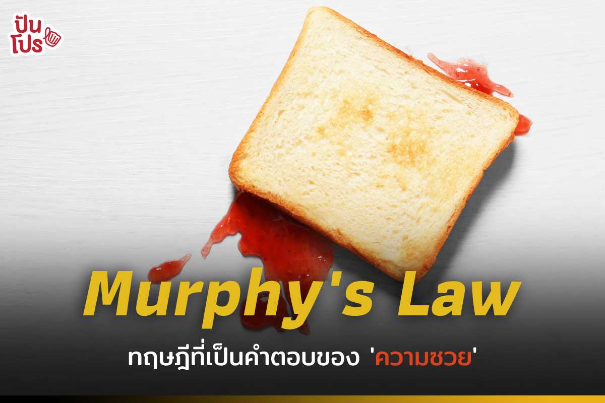 อะไรจะเกิด ก็ต้องเกิด ! กับทฤษฎีที่ว่าด้วยเรื่องของความ " ซวย " อะไรจะเกิด ก็ต้องเกิด ! กับทฤษฎีที่ว่าด้วยเรื่องของความ " ซวย "