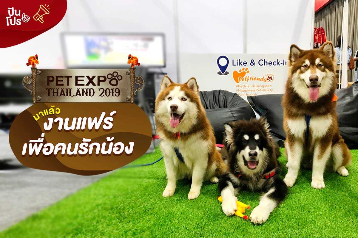 Pet Expo Thailand 2019 ครั้งที่ 19 งานแฟร์ที่ดีที่สุดเพื่อคนรักสัตว์!