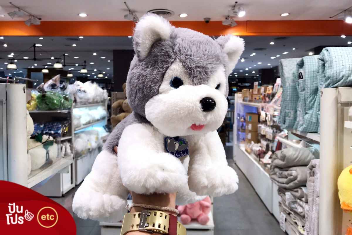 RAINFLOWER Plush Toy ซักตุ๊กตาฟรี 1 ครั้ง