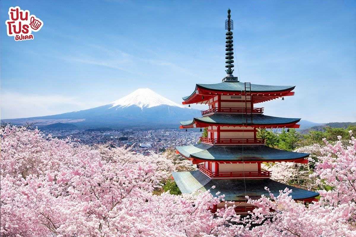 ญี่ปุ่นเปิดประเทศ 11 ต.ค. 65 รับนักท่องเที่ยวฟรีวีซ่า แบบนี้ต้องจัดทริปแล้วไหม  !