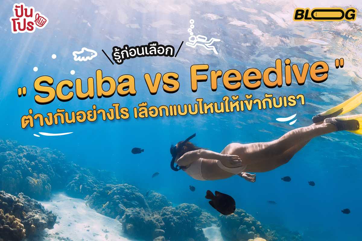 Scuba vs Freedive วิชาการดำน้ำฉบับมือใหม่ เลือกแบบไหนให้เข้ากับเรา ?