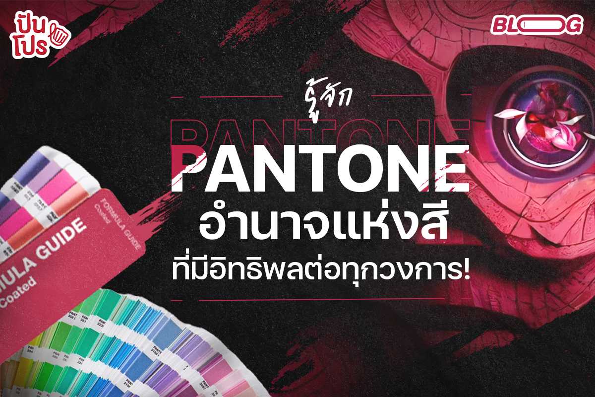รู้จัก PANTONE จุดเริ่มต้นของสีแห่งปี ที่มีอิทธิพลต่อทุกวงการ !