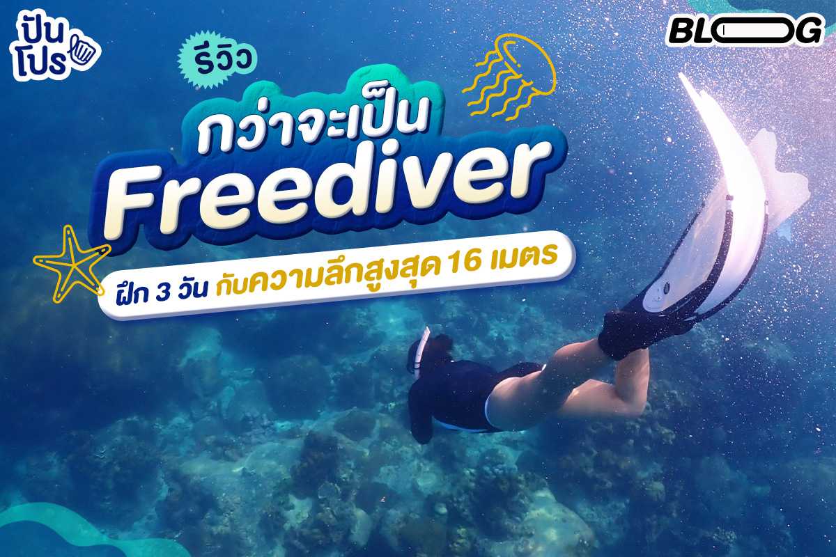Call me Freediver รีวิวเรียนดำน้ำ ถึงจะลึก 16 เมตร แต่ก็ไม่ยากอย่างที่คิด
