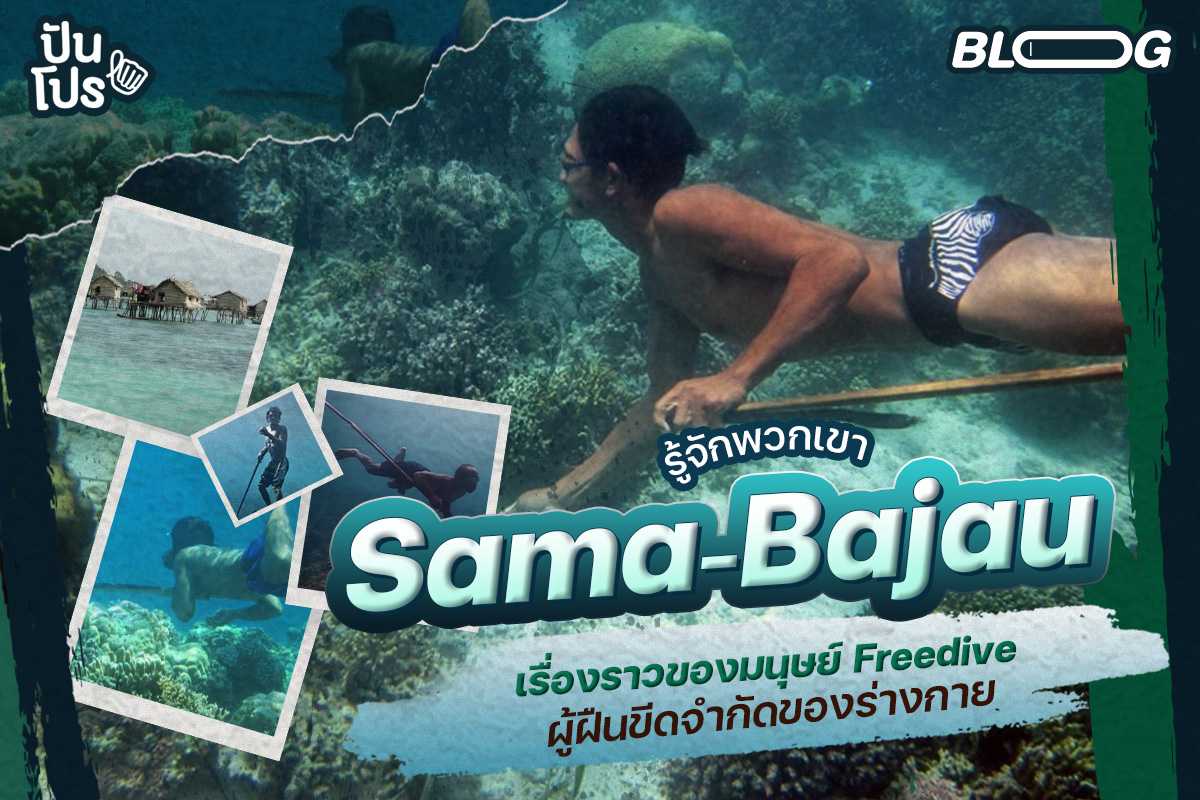 Just a human ? เรื่องราวของ Freediver สายแข่ง และชนเผ่าที่ดำน้ำอึดกว่า 13 นาที ! Just a human ? เรื่องราวของ Freediver สายแข่ง และชนเผ่าที่ดำน้ำอึดกว่า 13 นาที !
