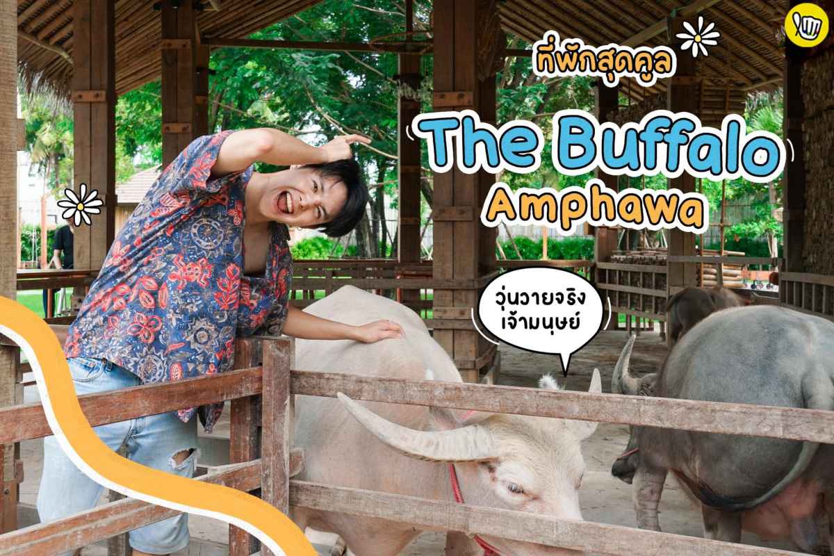 The Buffalo Amphawa รีสอร์ทที่มากับคอนเซ็ปต์ความเรียบง่ายและธรรมชาติรอบตัว