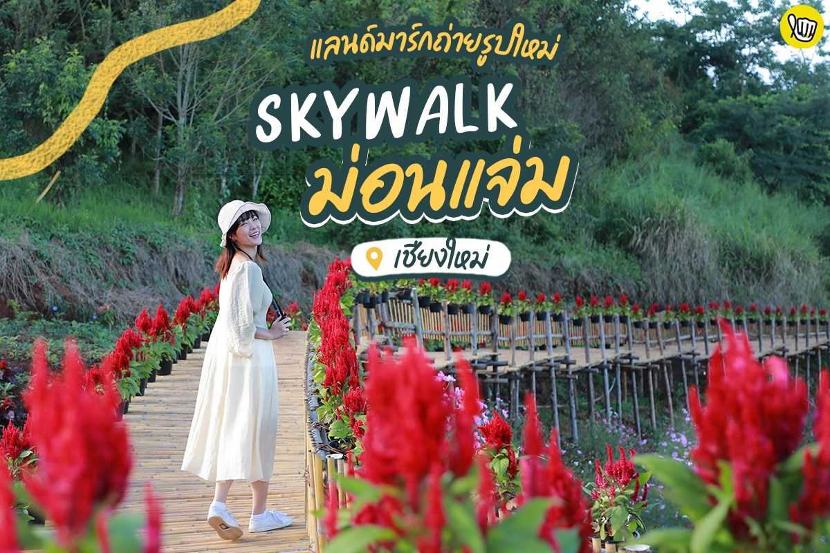 แลนด์มาร์กถ่ายรูปใหม่ Skywalk ม่อนแจ่ม