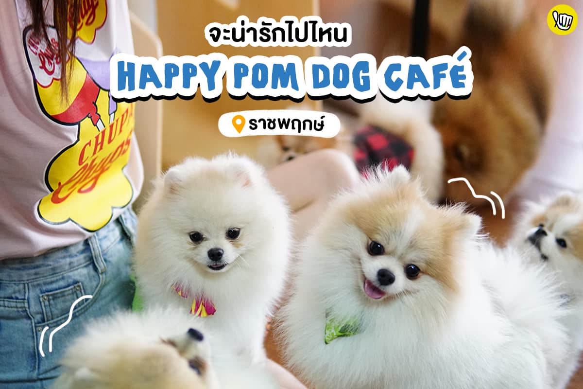 จะน่ารักไปไหน Happy Pom Dog Café @ ราชพฤกษ์