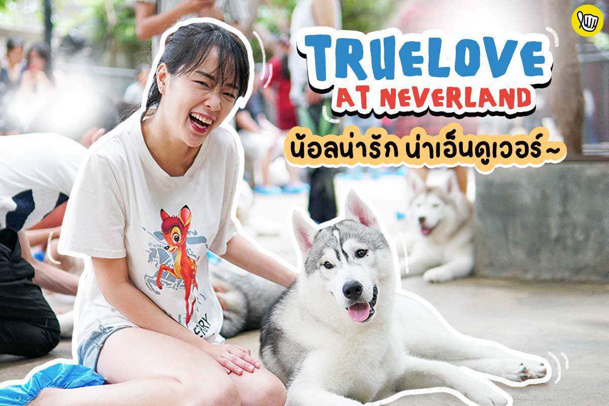 True Love at Neverland น้อลน่ารัก น่าเอ็นดูเวอร์