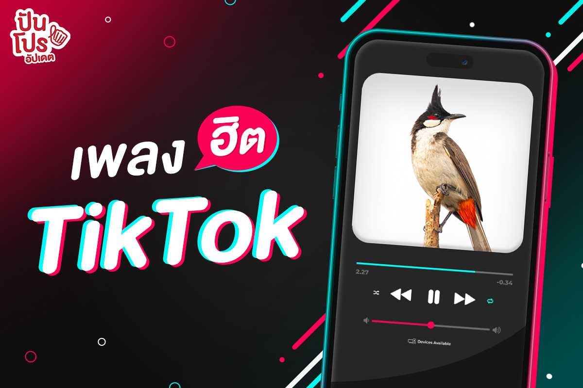 เพลงฮิต TikTok 2023 กับเสียงนกกรงหัวจุก แรงบันดาลใจที่มาจากการแข่งขัน