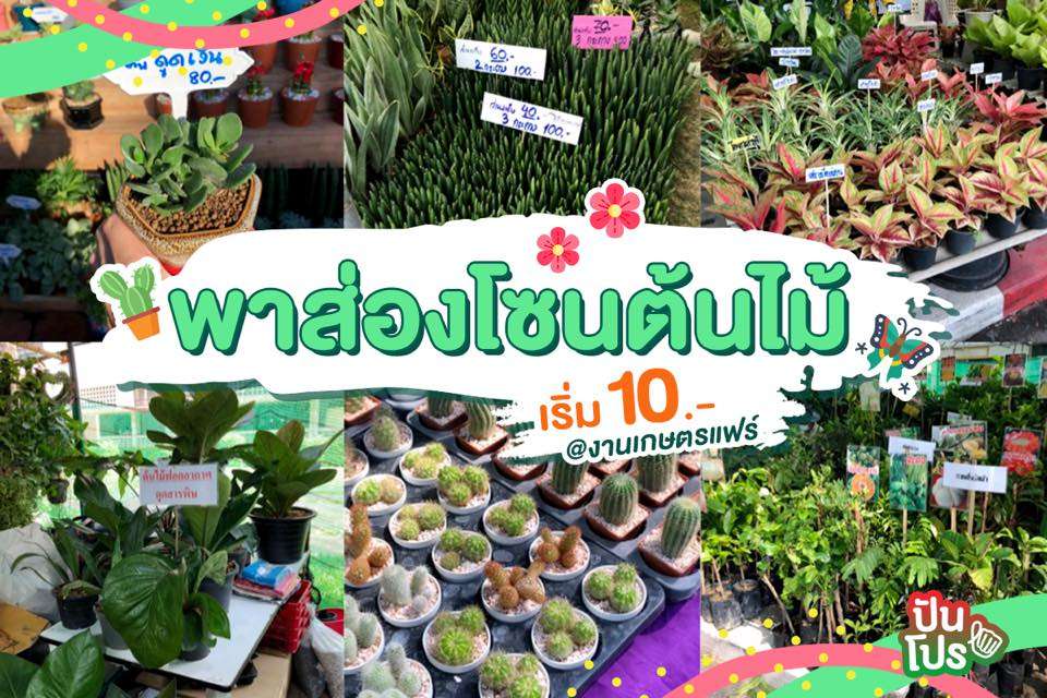 ปันโปรเอาใจสายเขียวรักโลก พาทัวร์โซนต้นไม้ในงานเกษตรแฟร์ 2563 🌵